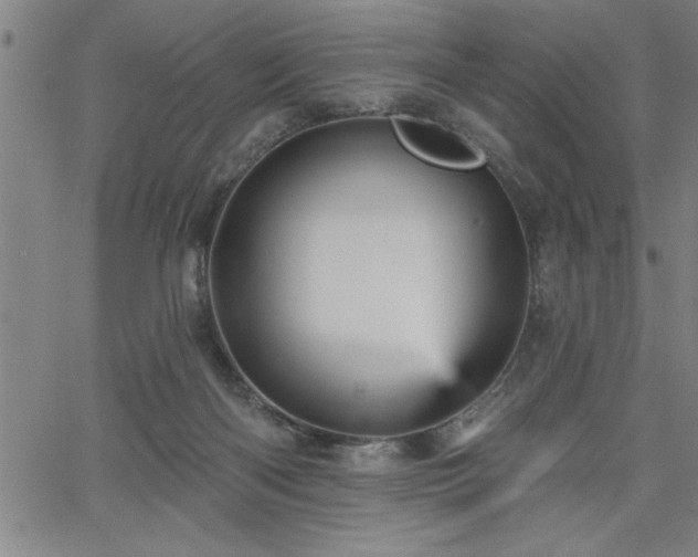 X0000065970122200603061159