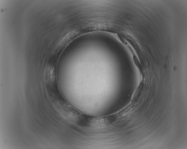 X0000065970123200603061159