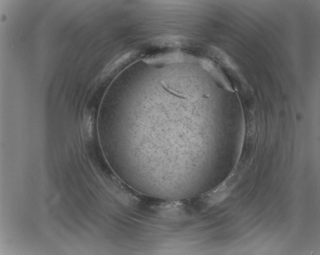 X0000065970124200603061159