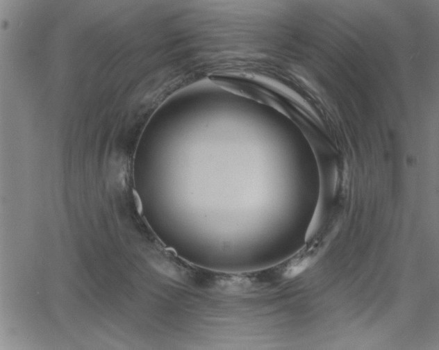 X0000065970125200603061159