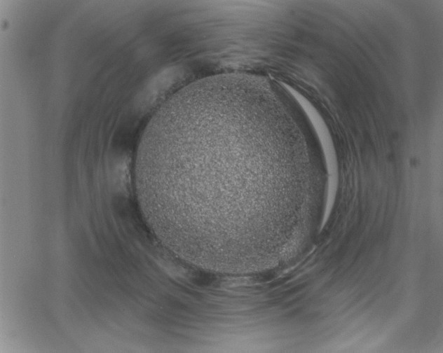 X0000065970127200603061159