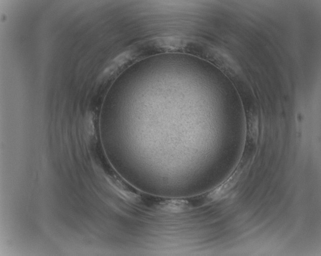 X0000065970128200603061159