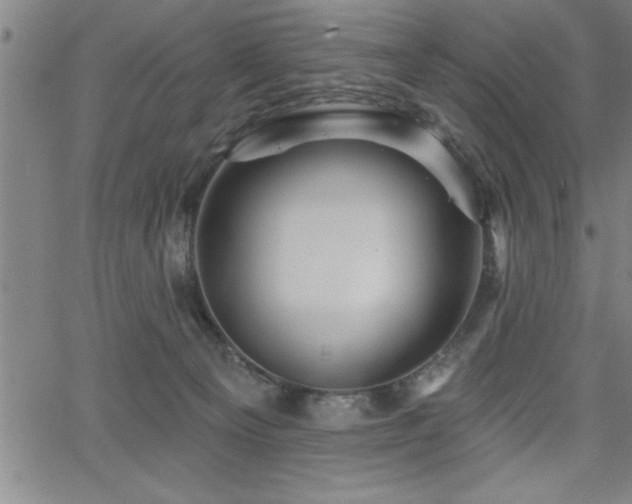 X0000065970129200603061159