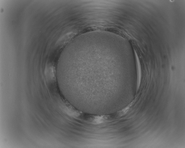 X0000065970130200603061159