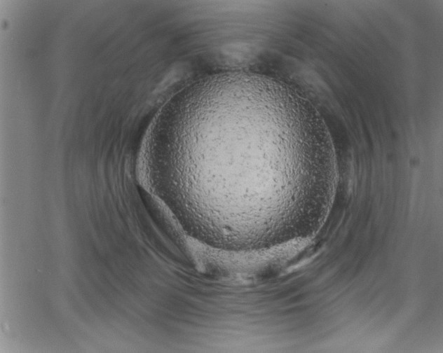 X0000065970131200603061159