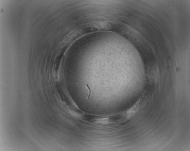 X0000065970132200603061159