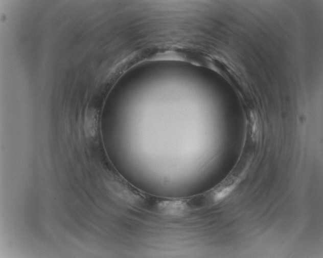 X0000065970133200603061159