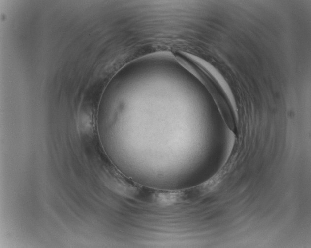 X0000065970134200603061159