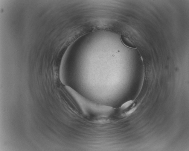 X0000065970135200603061159