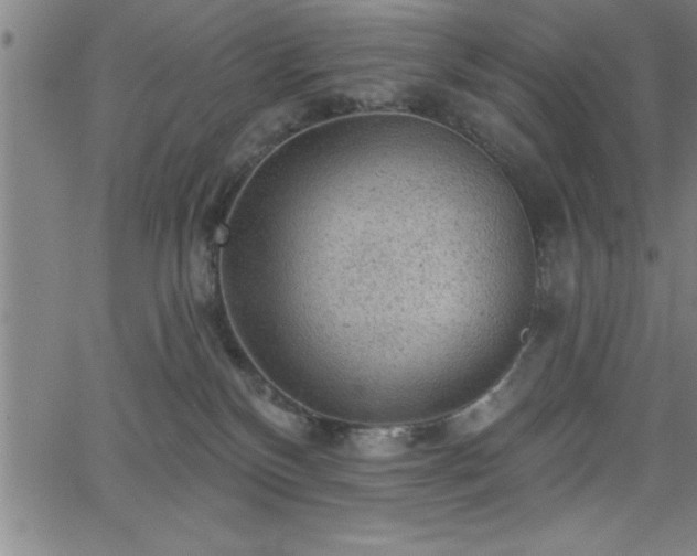 X0000065970136200603061159