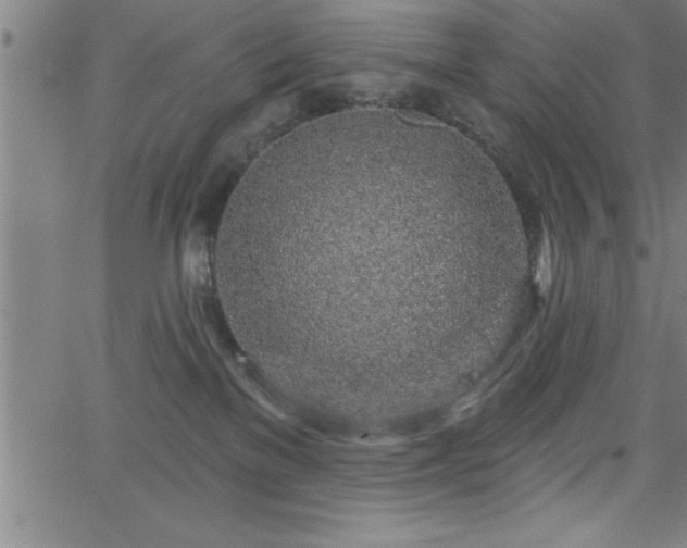 X0000065970137200603061159