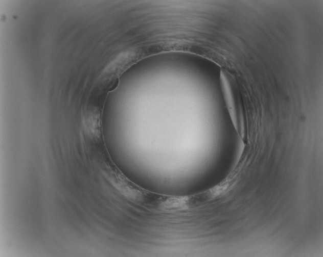 X0000065970138200603061159