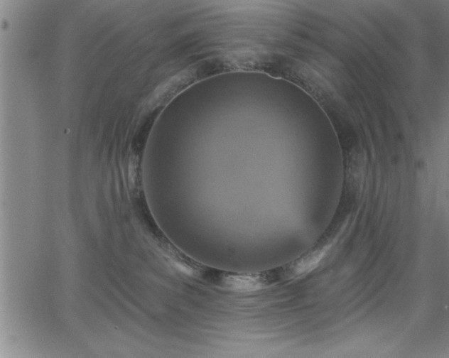 X0000065970139200603061159