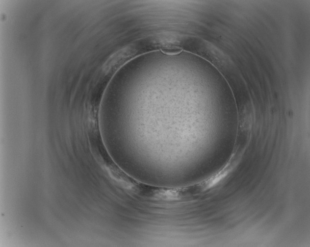 X0000065970140200603061159