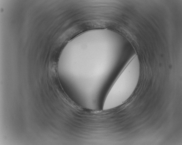 X0000065970141200603061159