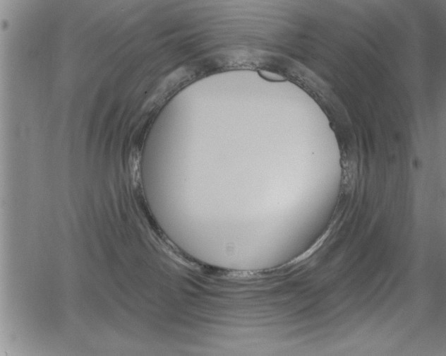 X0000065970142200603061159