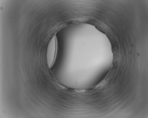 X0000065970143200603061159