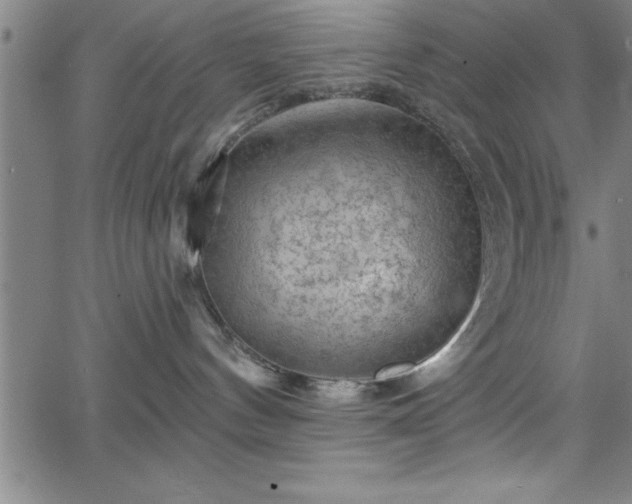 X0000065970144200603061159