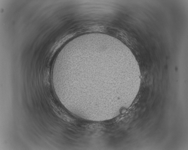 X0000065970146200603061158