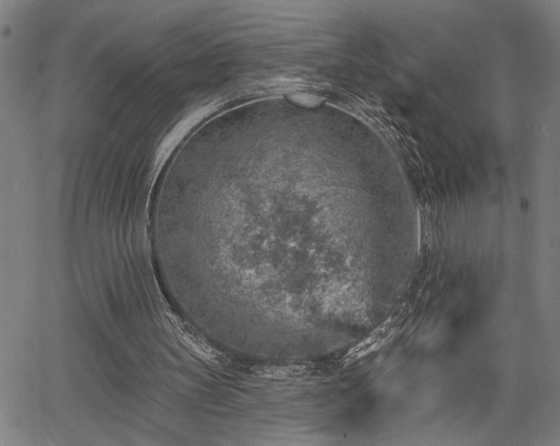 X0000065970147200603061158