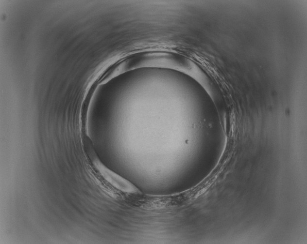 X0000065970148200603061158