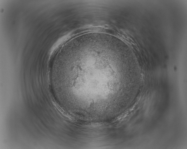 X0000065970149200603061158