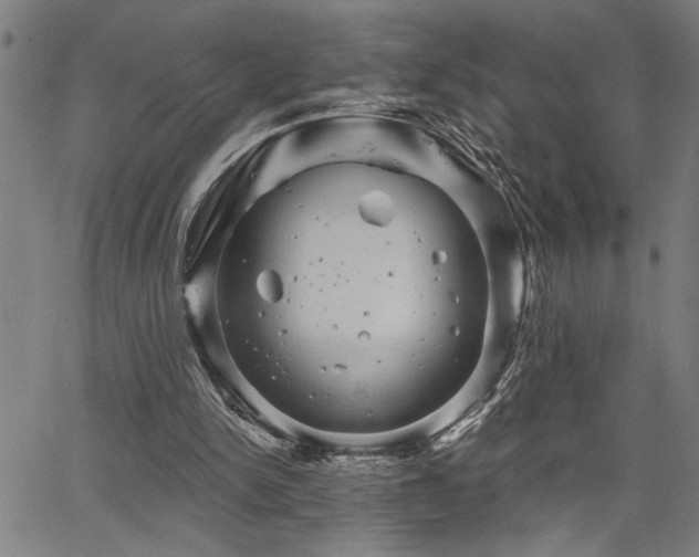 X0000065970150200603061158