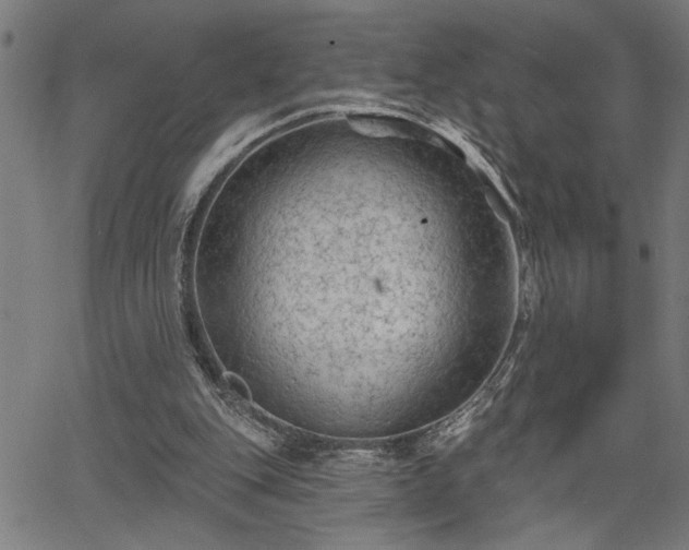 X0000065970151200603061158