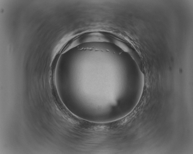 X0000065970152200603061158