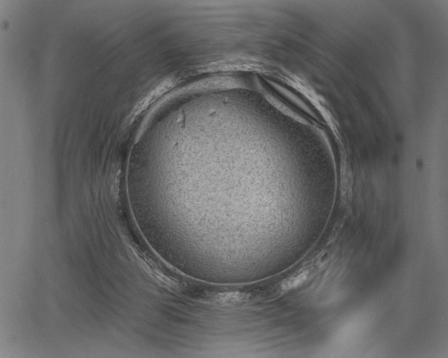 X0000065970153200603061158