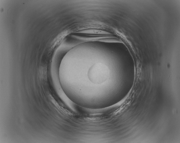 X0000065970154200603061158