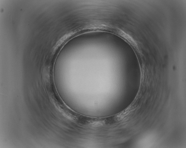 X0000065970155200603061158