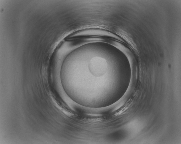 X0000065970156200603061158