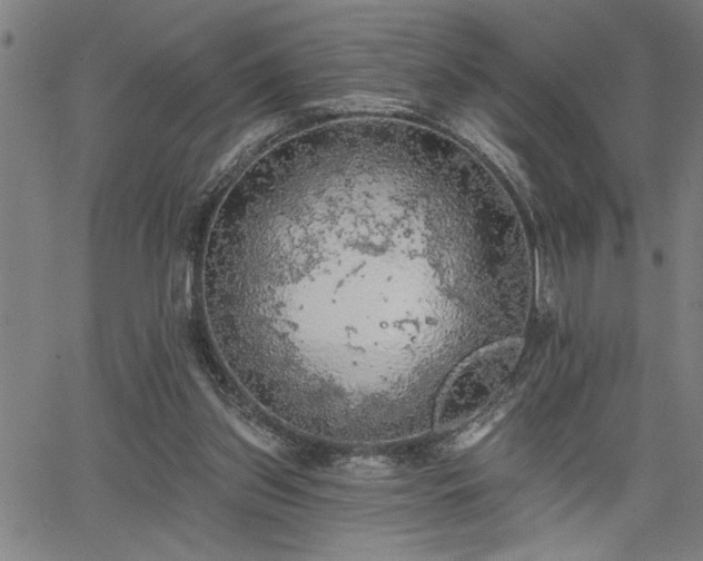 X0000065970157200603061158