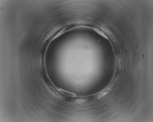 X0000065970158200603061158