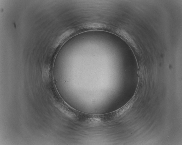 X0000065970159200603061158