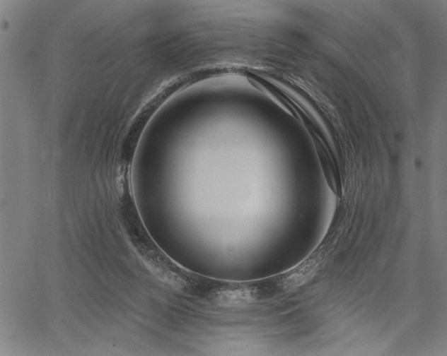 X0000065970160200603061158