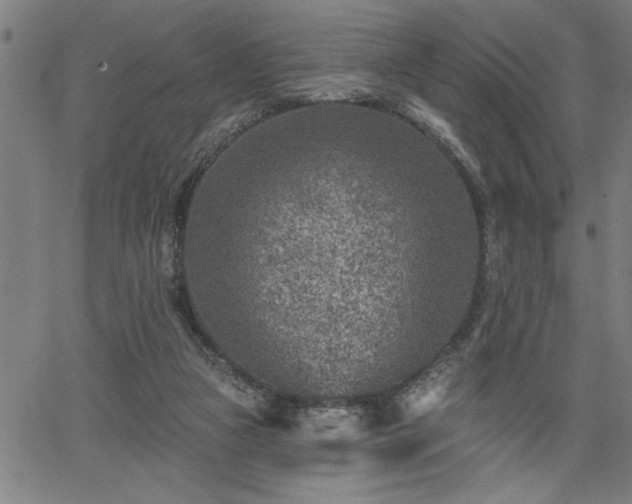 X0000065970161200603061158