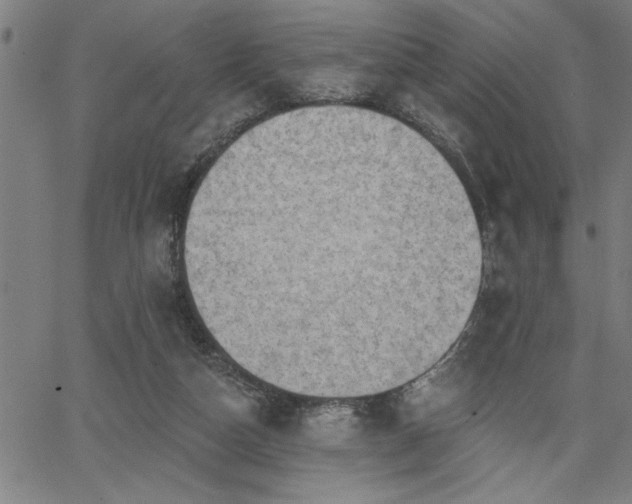 X0000065970162200603061158