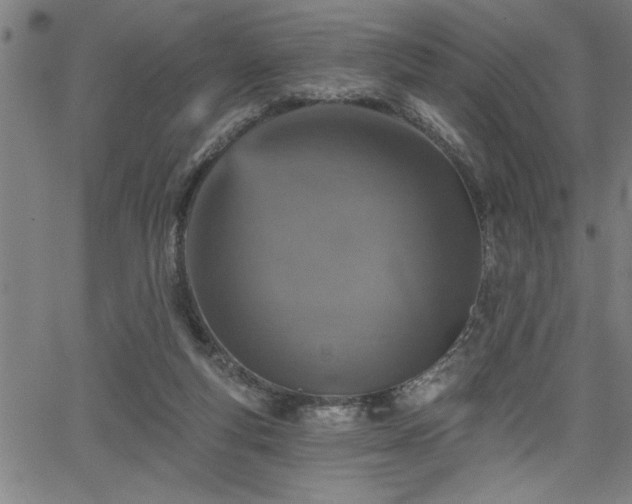 X0000065970163200603061158