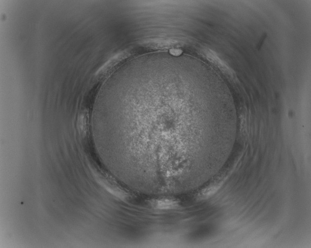 X0000065970165200603061158