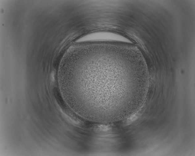 X0000065970166200603061158