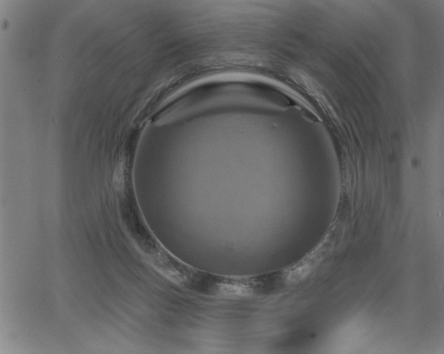 X0000065970167200603061158