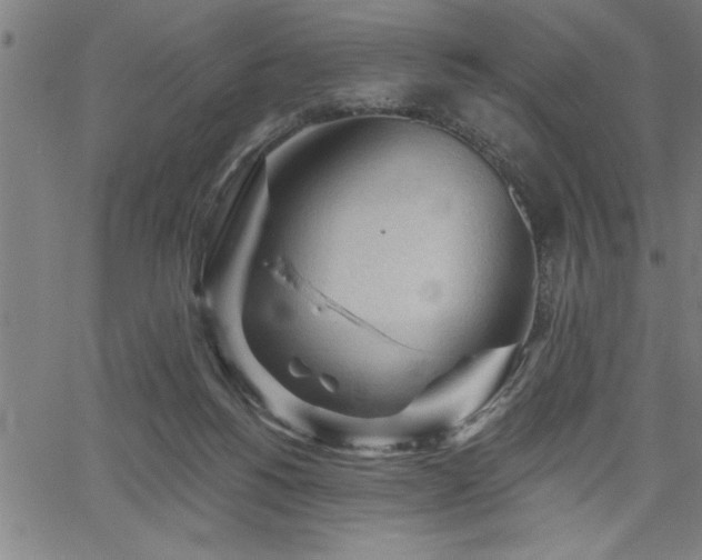 X0000065970168200603061158