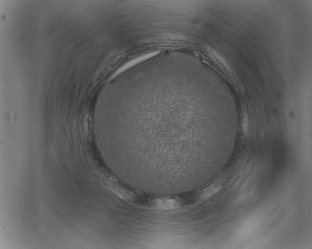 X0000065970169200603061158