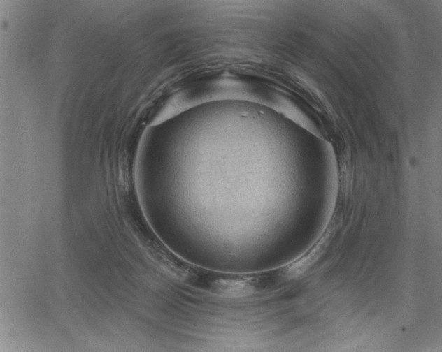 X0000065970170200603061158