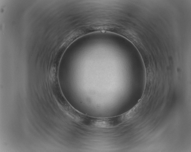 X0000065970171200603061158