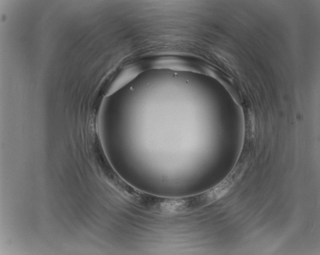 X0000065970172200603061158