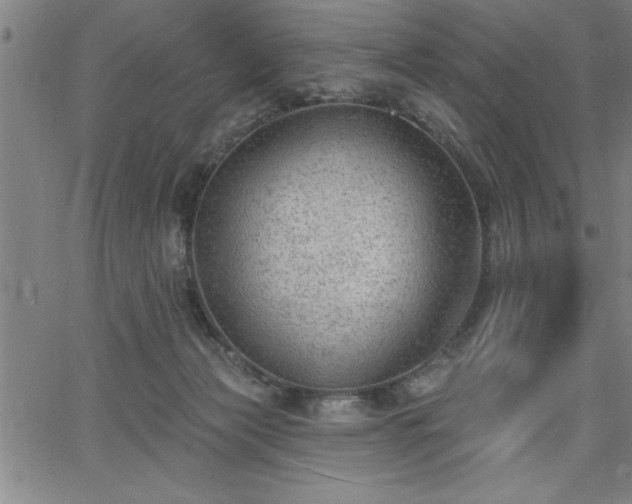 X0000065970173200603061158