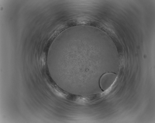 X0000065970174200603061158